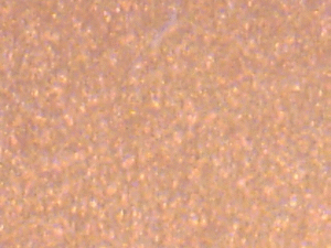 Corrosion Intercept Film being magnified 400X